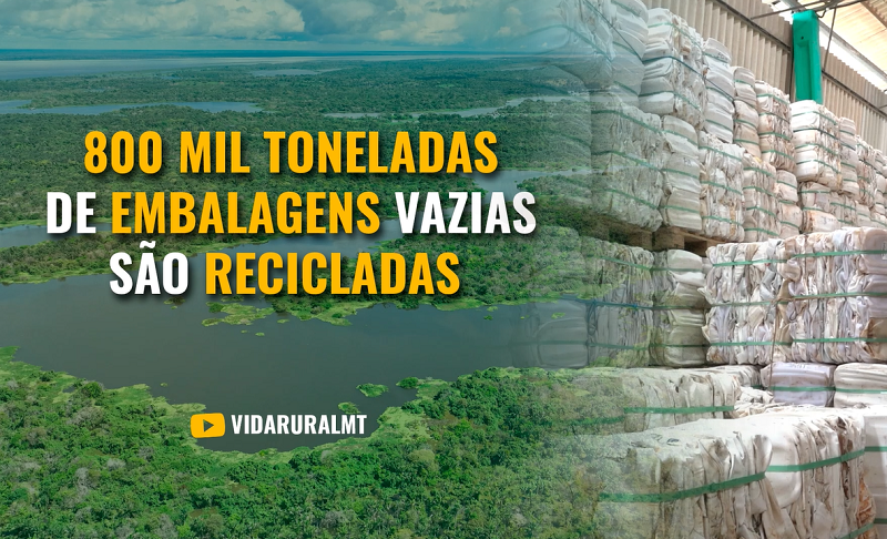 800 MIL TONELADAS DE EMBALAGENS VAZIAS SÃO RECICLADAS